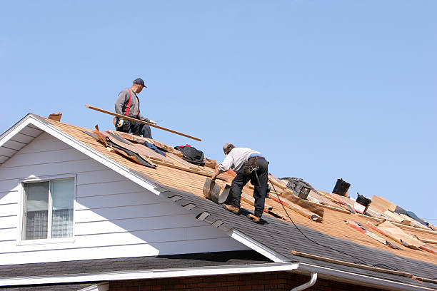 Best Roof Ventilation Installation  in Reisterstown, MD